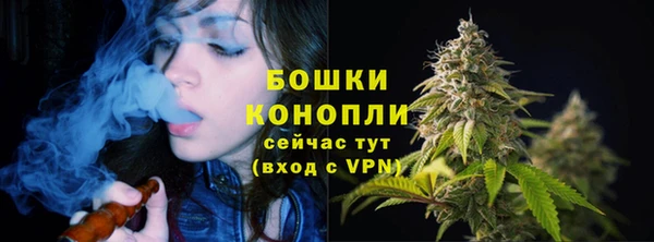 дмт Дмитровск