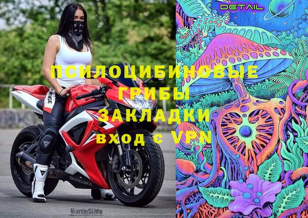 ECSTASY Гусев