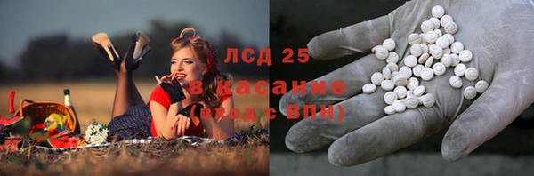 ECSTASY Гусев