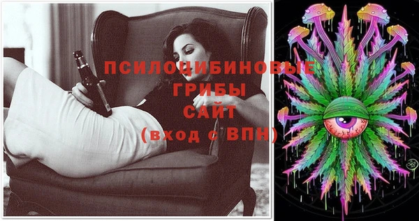соль ск Дмитриев