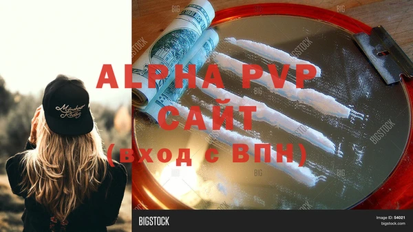 ECSTASY Гусев