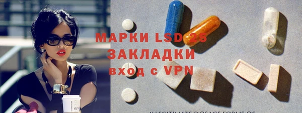соль ск Дмитриев