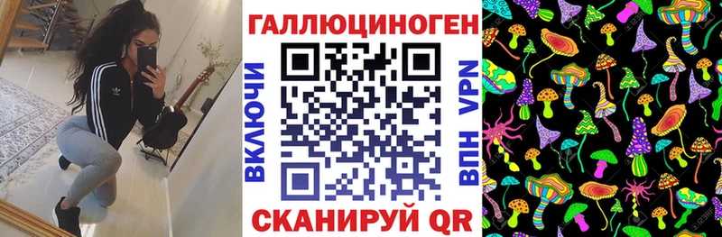Псилоцибиновые грибы Psilocybine cubensis  Купить  Пикалёво 